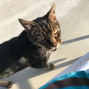 Meet your Posher, Chelsea